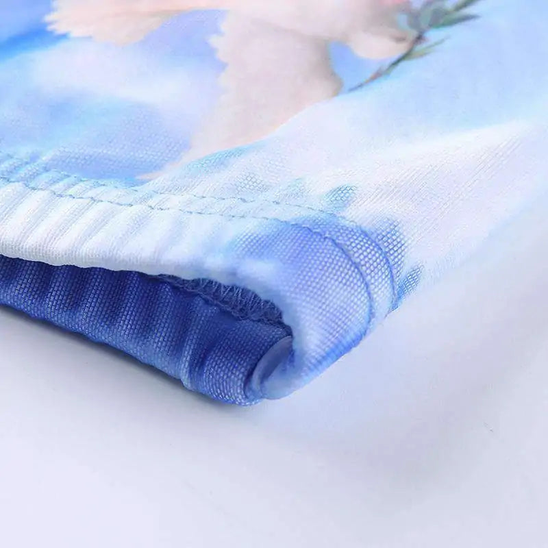 Cherub Mesh Pants