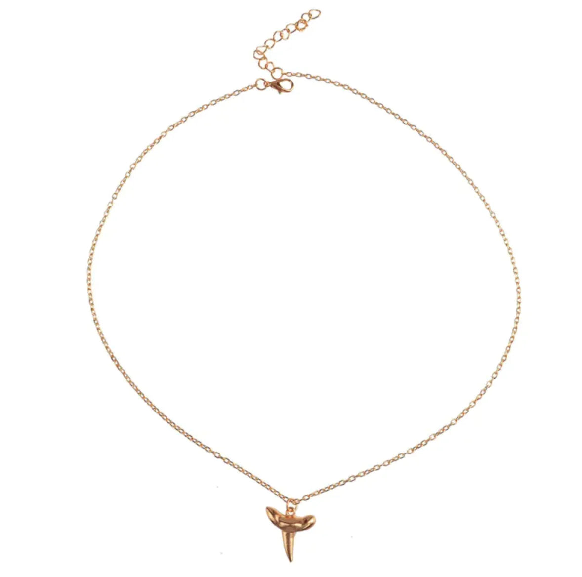Shark Tooth Necklace