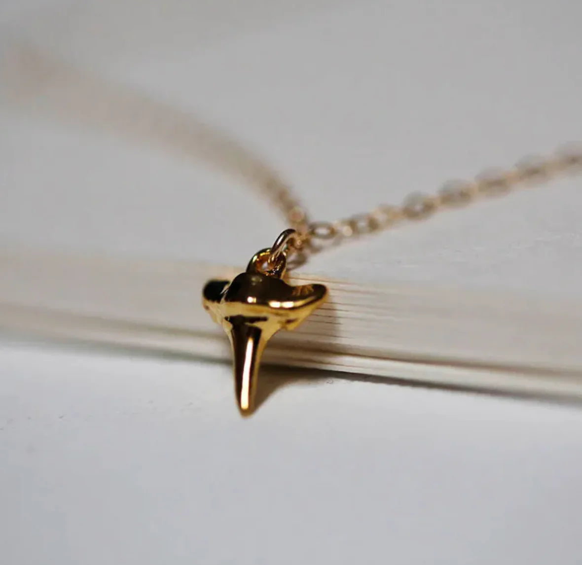 Shark Tooth Necklace