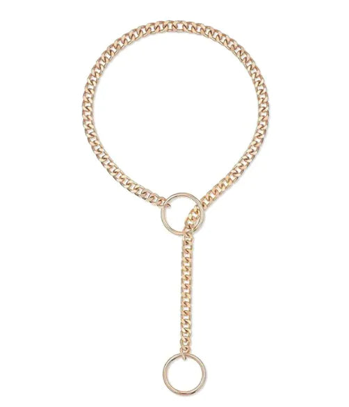 Chain Lariat Necklace